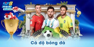 Cá Độ Bóng Đá – 3 Chiến Lược Vàng Cho Người Biết Thời Thế