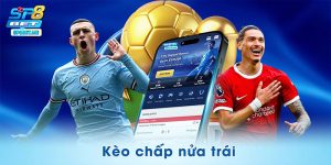 Kèo Chấp Nửa Trái – Bí Quyết Phân Tích Với 4 Yếu Tố Chính