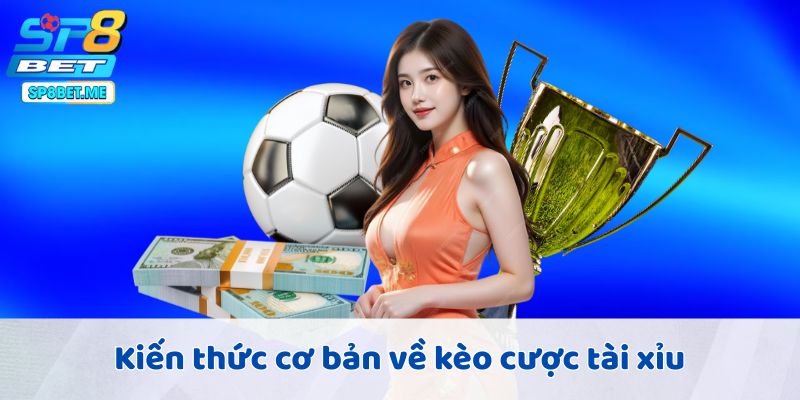 Kiến thức cơ bản về kèo cược tài xỉu