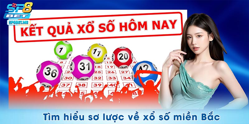 Tìm hiểu sơ lược về Xổ số miền Bắc SP8BET